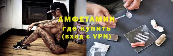 прущие грибы Надым
