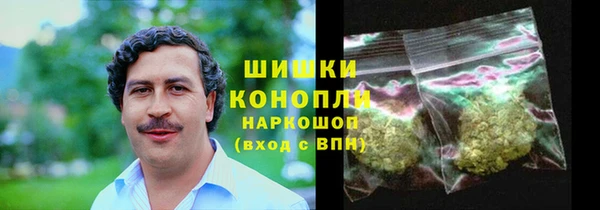 прущие грибы Надым