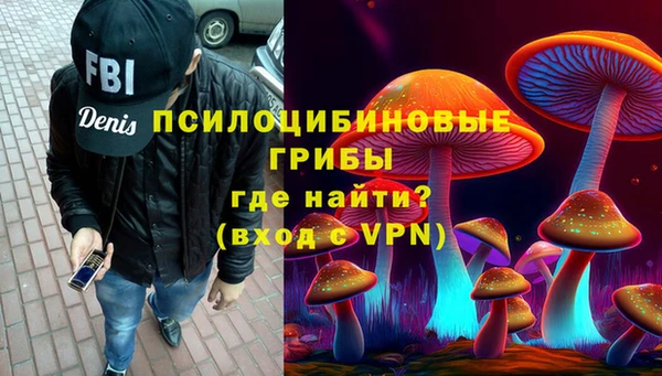 прущие грибы Надым