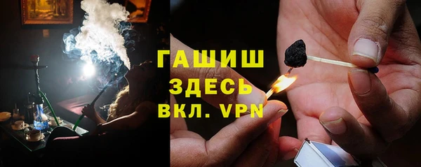 прущие грибы Надым