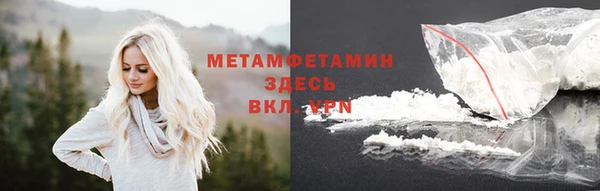 прущие грибы Надым