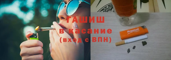 прущие грибы Надым