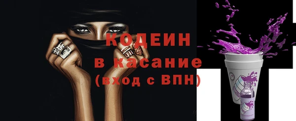 прущие грибы Надым