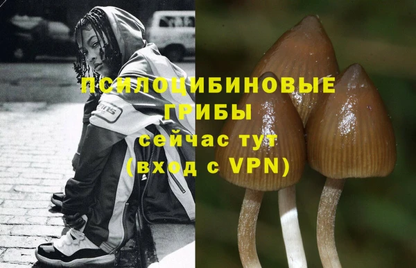 герыч Навашино