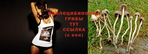 эйфоретик Наволоки